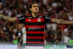 Pedro Flamengo