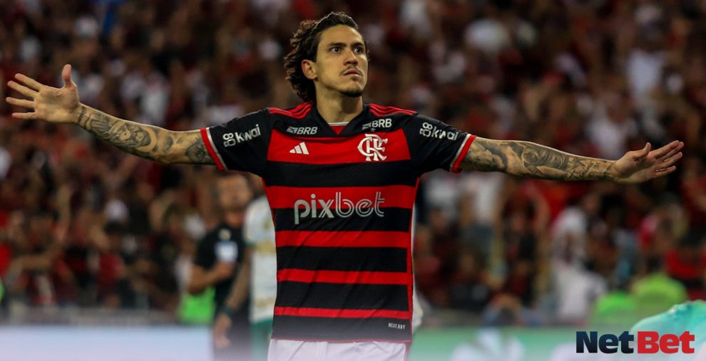 Pedro Flamengo